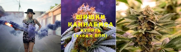 ПСИЛОЦИБИНОВЫЕ ГРИБЫ Алексин