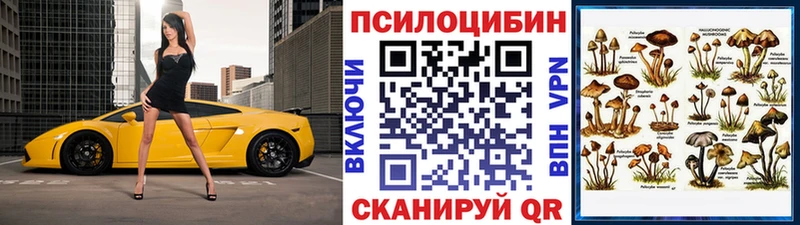 Галлюциногенные грибы MAGIC MUSHROOMS  Зверево 
